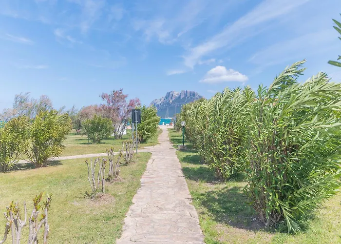 Il Vecchio Faro Dalia 6 50m From The Sea - Happy