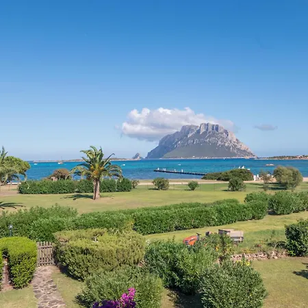 펜션 Il Vecchio Faro Dalia 6 50m From The Sea - Happy