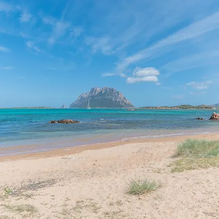 Il Vecchio Faro Dalia 6 50m From The Sea - Happy Prázdninový dům *