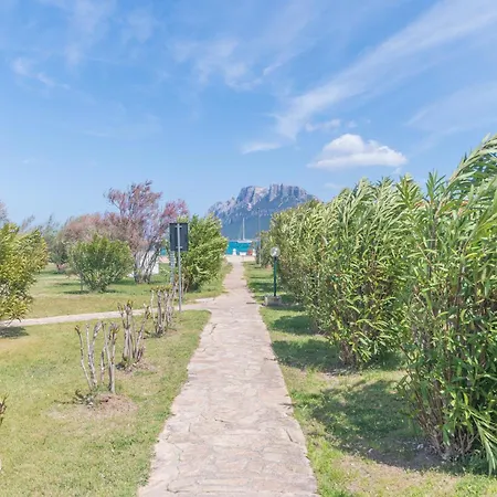 Il Vecchio Faro Dalia 6 50m From The Sea - Happy