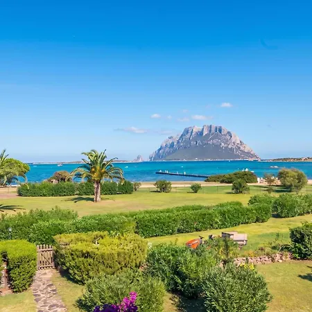 Il Vecchio Faro Dalia 6 50m From The Sea - Happy *