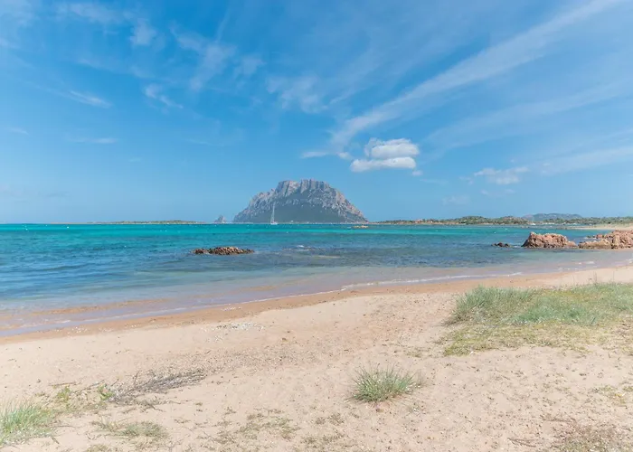 Il Vecchio Faro Dalia 6 50m From The Sea - Happy Dom wakacyjny *